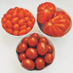 Tomates-variedades-Huerto-Ocio-Aljucer-Programa-Ayuntamiento-Murcia