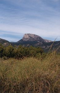 El morrn de Totana desde el Llano de  las Cabras