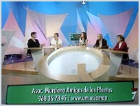 Mesa del programa �Qu� sabemos? del Canal 7 Regi�n de Murcia el d�a 27 de Abril de 2007. Momento de la intervenci�n, en representaci�n de la Asociaci�n, de Gemma L�pez V�lez y Rosa Mar�a Ros (ambas a la izquierda de la imagen).