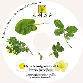 Car�tula primer CD de im�genes AMAP (I 2006)