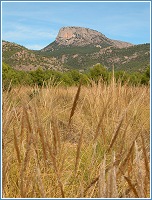 El Morr�n de Totana (Sierra Espu�a) visto desde el espartal del Llano de las Cabras (Aledo)