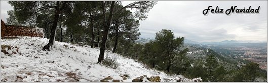 Un lugar nevado de la Cresta del Gallo, el pasado 19 de diciembre de 2009. Foto: Francisco Javier López Espinosa