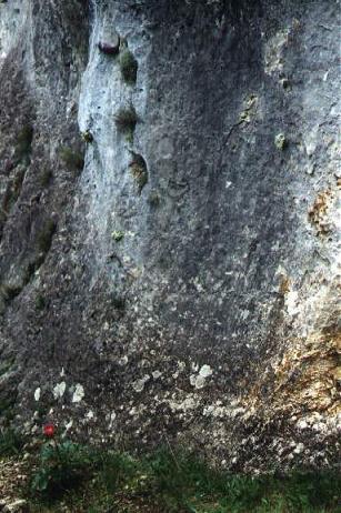 Pared�n calizo en Arroyo Tercero.