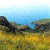 Gu�a electr�nica de la Flora de Murcia,  �  J.A.L.E. 2000.