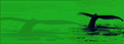��� Unet� a Greenpeace YA !!!